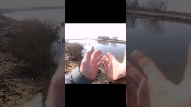 Рыбалка на реке Клязьма #fish #fishing #рыбалканафидер #fishing смотреть онлайн