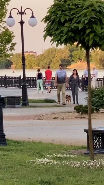 Набережная реки Кубань ЮМР Краснодар #shorts смотреть онлайн