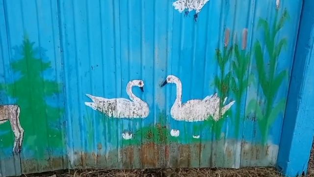 Сказачное подворье на окраине села Воронежской облас? смотреть онлайн