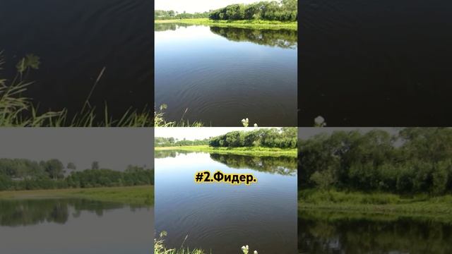 #2часть .Фидер.Чехонь. #рыбалка. #fishing. смотреть онлайн