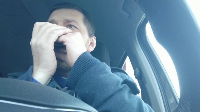 Здесь лапы у елей дрожат на весу... ♫ на губной гармошк? смотреть онлайн