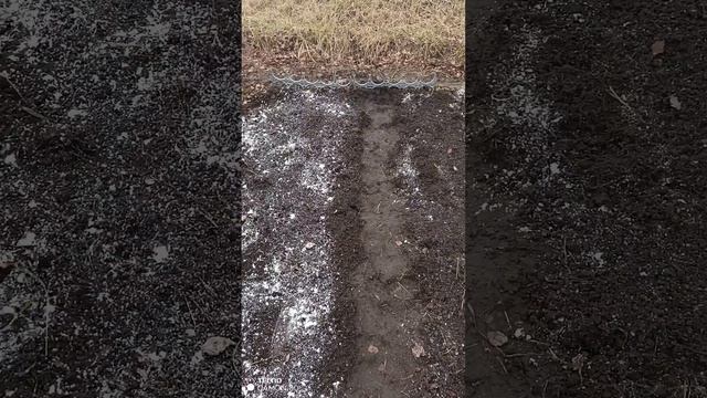 Посадила морковь и лук смотреть онлайн