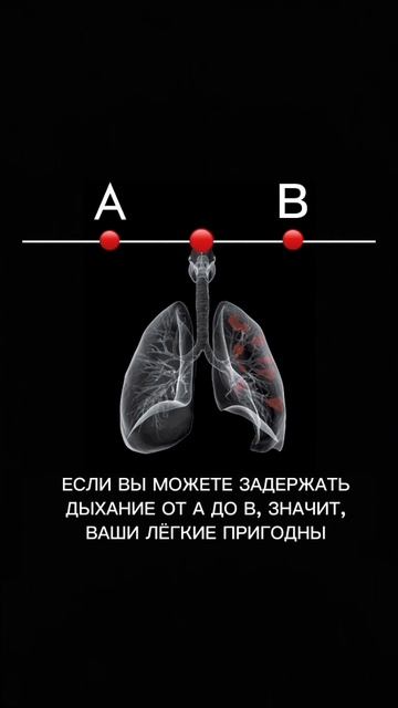Если прошли тест ставим - 👍 если нет то - 👎 смотреть онлайн