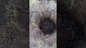 Как копать ямки лунки под столбы забора глубокие прос?