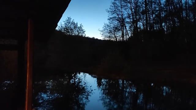 Цвет ночной природы смотреть онлайн