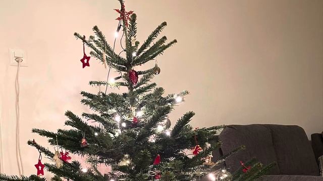Елки - палки … или Weihnachtsbaum in der Schweiz смотреть онлайн