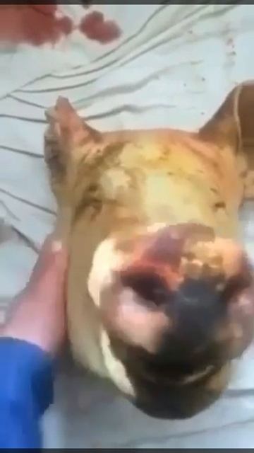 Не расстраивайся смотреть онлайн