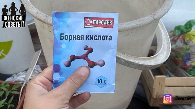 Подкормка Из Одного Порошка Дает Силы Цветам И Заставляет Их Цвести Великолепно! смотреть онлайн