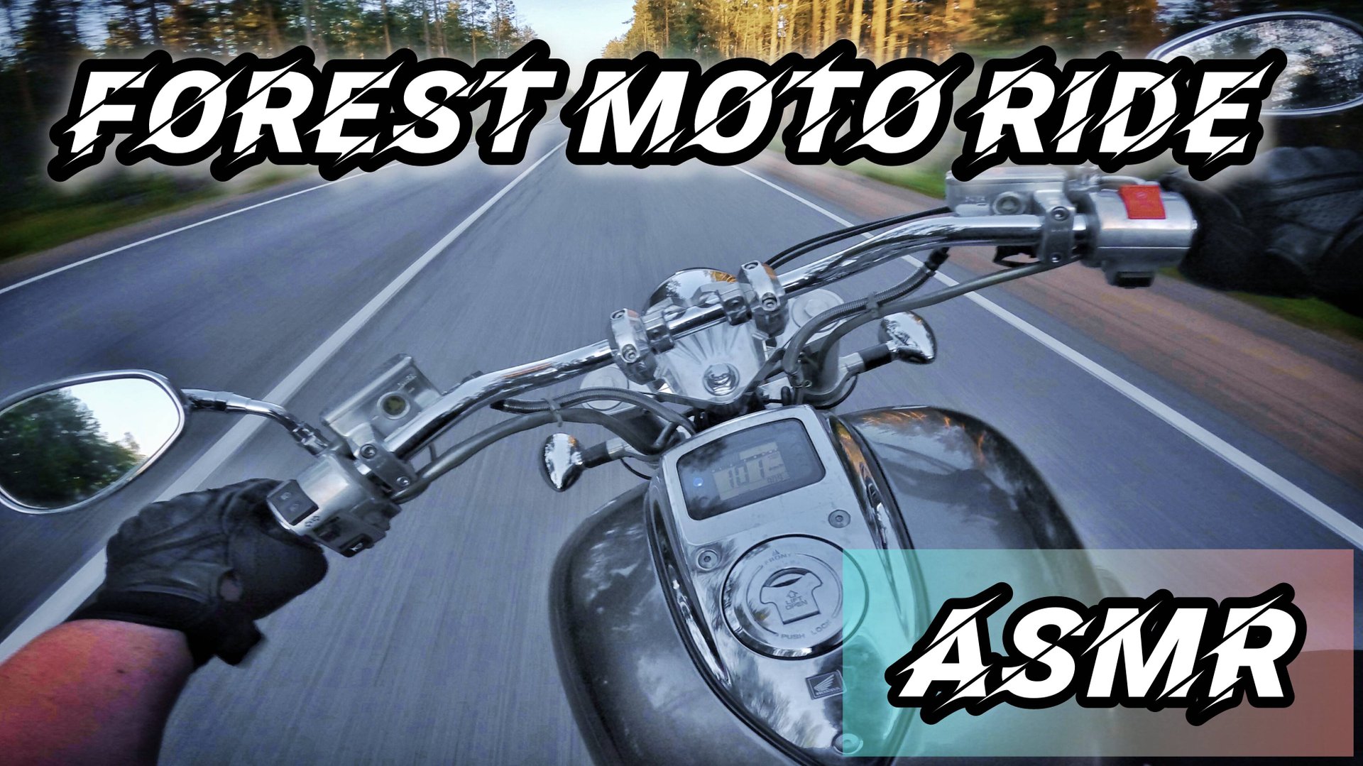 РАССЛАБЛЯЮЩАЯ ЛЕСНАЯ ПОЕЗДКА НА МОТОЦИКЛЕ | ASMR | БЕЗ ЛИШНЕЙ БОЛТОВНИ | V-TWIN SOUND | L.G.MOTORIDE