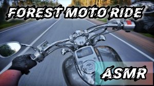 РАССЛАБЛЯЮЩАЯ ЛЕСНАЯ ПОЕЗДКА НА МОТОЦИКЛЕ | ASMR | БЕЗ ЛИШНЕЙ БОЛТОВНИ | V-TWIN SOUND | L.G.MOTORIDE