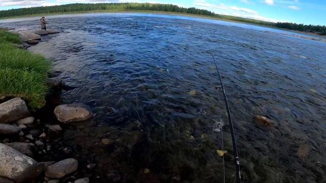 ЛУЧШАЯ РЫБАЛКА НА ГОРНОЙ РЕКЕ. ЧАСТЬ 1