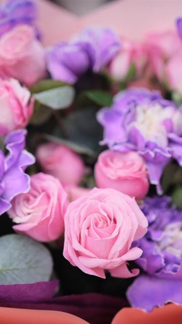 Букет из 7 гвоздик и пионовидной розы Леди Бомбастик#ц? смотреть онлайн