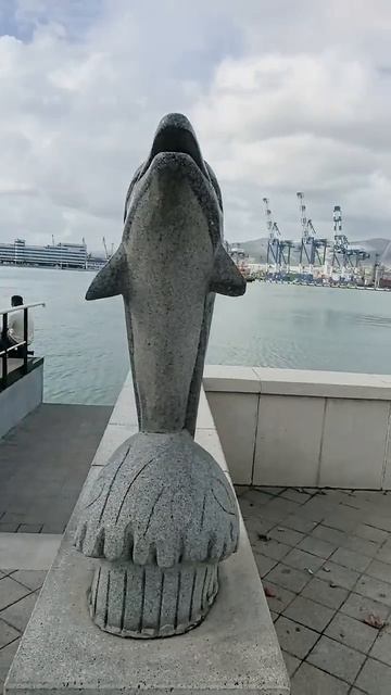 Дельфинчик #малугины #россия #путешествия #море #отдых смотреть онлайн