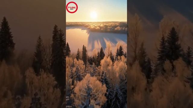 Катаемся под Белую Ночь @pchela-music @v-lovemusic #пчела #хит #music # смотреть онлайн