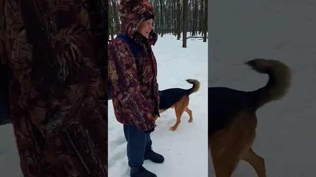 Хозяйка учит его быть смелым ...#подпишись #образование смотреть онлайн