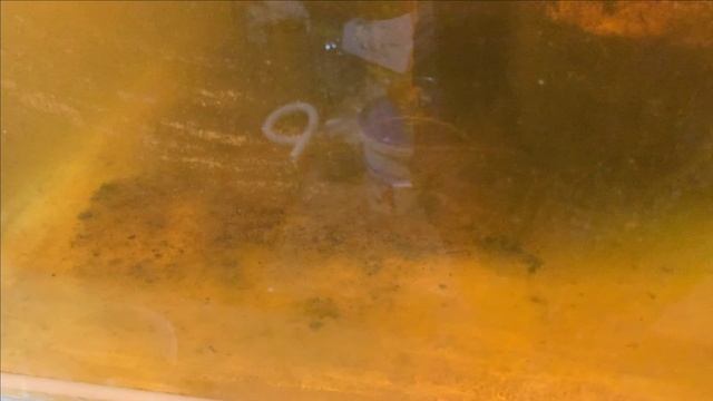 Пруд в гараже.Новости...и шикарный свет смотреть онлайн