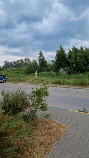 резко изменилась погода! если долбанет то сниму продо? смотреть онлайн