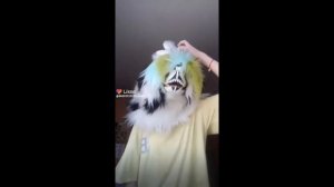 Фурри из тик тока(лайка) 2 часть