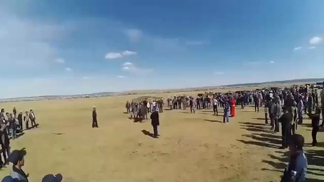 День табунщика смотреть онлайн