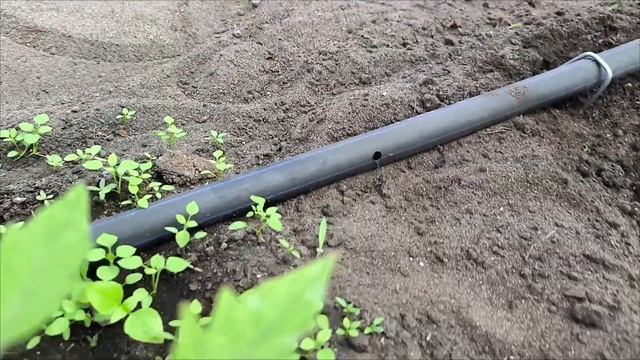 монтаж капельного полива под каждое растение смотреть онлайн
