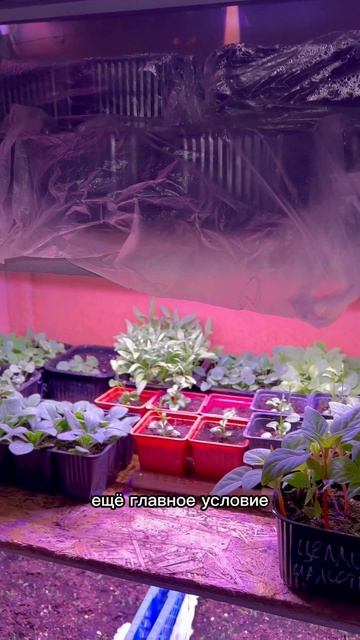 8 марта 2024 г. смотреть онлайн