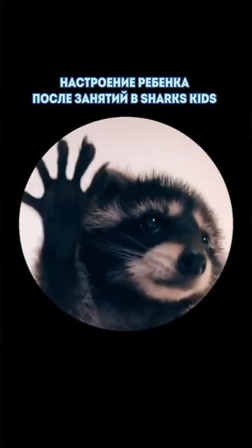 #детскоеплавание #обучениевзрослых #обучениеплаванию смотреть онлайн