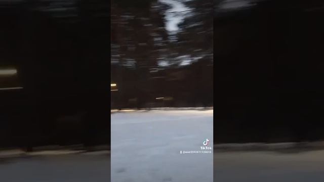 Парк Заельцовский
