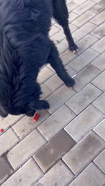 Ребята,если есть у Вас возможность порадовать создани смотреть онлайн