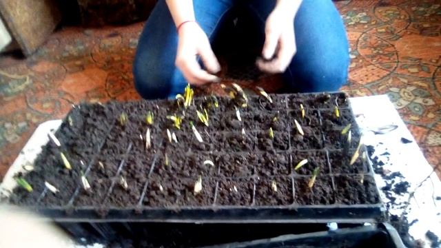 Маленькая фея смотреть онлайн