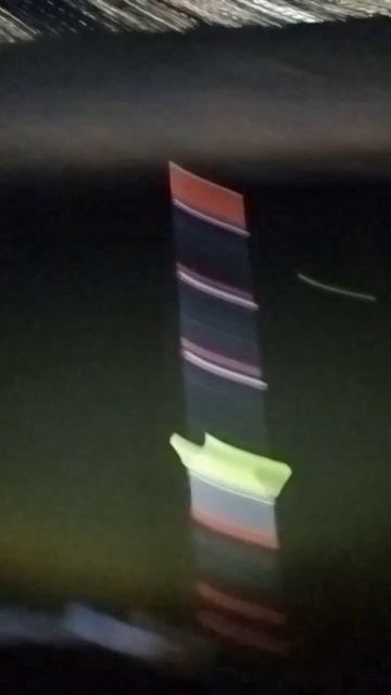 рыбалка сазанп на поплавок. чисто классика