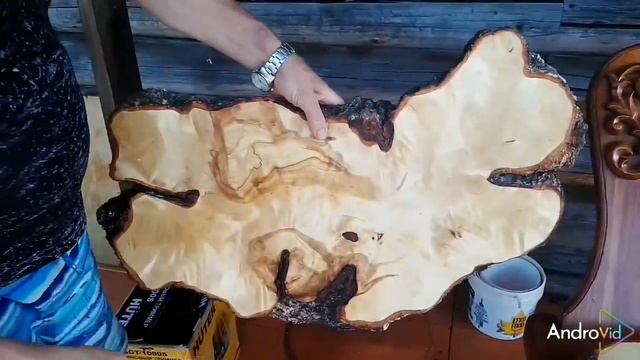 Рог лосиный и кап березовый.