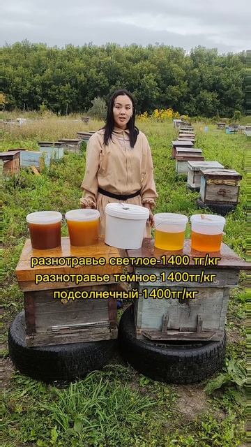 Купить мёд оптом из Восточного Казахстана смотреть онлайн