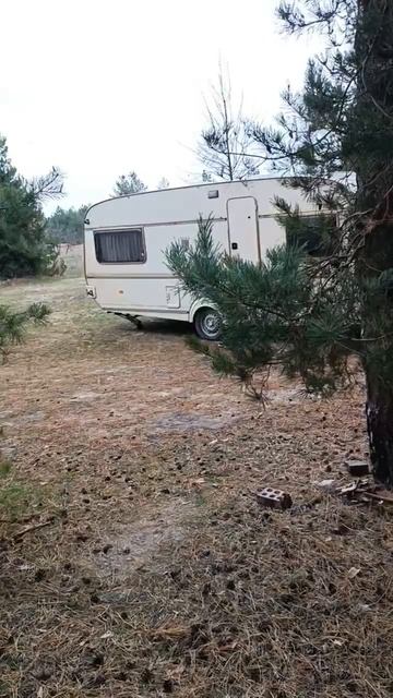 Горячий,крепкий, вкусный кофе☕и запах хвои,что может ? смотреть онлайн