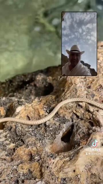 🐍 Пляж со змеёй, правда, был дикий. Но внимательным ну? смотреть онлайн