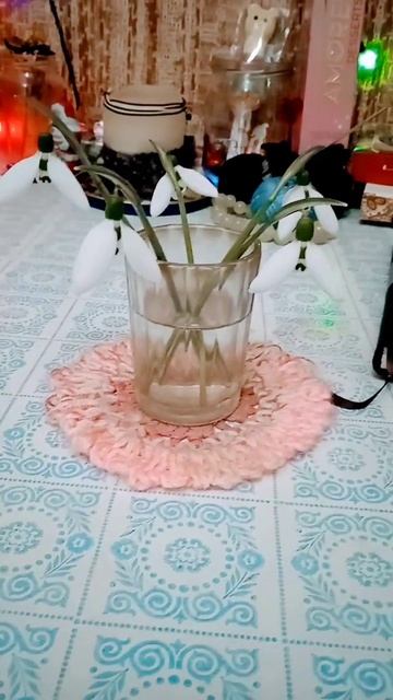 🌱❄️первые #подснежники #подснежник смотреть онлайн