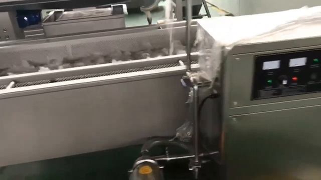 Озонатор воды промышленный Leaddenmar Water Ozonizer L50 смотреть онлайн