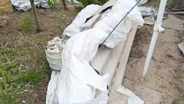 Ну очень хочется покушать винограда.Укрытие перед мор смотреть онлайн