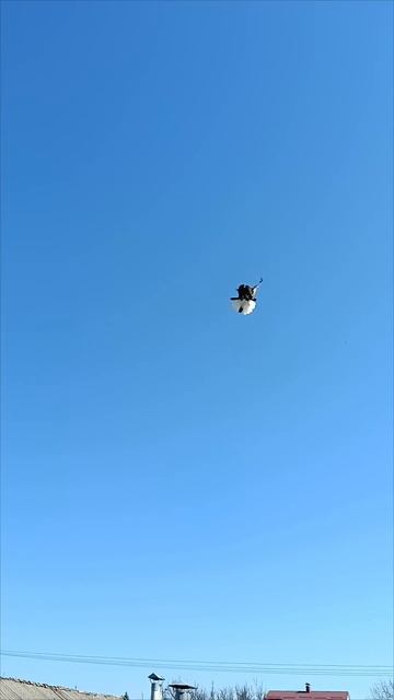 Погода как всегда то ветра нет,то дует ураганный!Но по смотреть онлайн