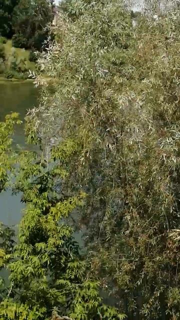 27 мая 2024 г. смотреть онлайн