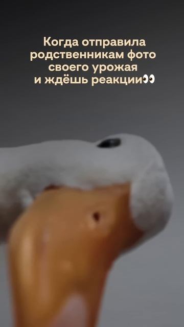 Лучший урожай будет с «Благо»🪴 #сад #огород #дача #уро? смотреть онлайн