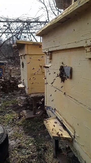 Девчата летают 8 марта. С праздником!!! смотреть онлайн