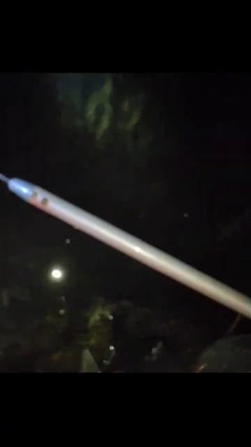 ПЛОТВА НА ПОЛ КИЛОГРАММА #трофейная #плотва #трофей #ры смотреть онлайн