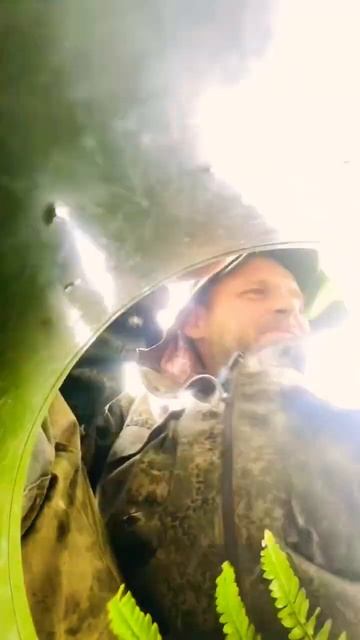 Лисичка. Алтайский край. #грибы #лисичка смотреть онлайн