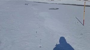 Рыбалка в Сибири !!! Усть-Кут !!!