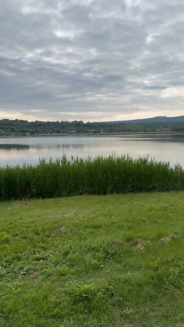 Когда в мире есть такие прекрасные звуки природы, ника смотреть онлайн