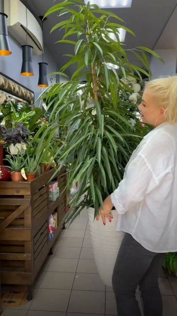 #цветымосква #цветы #доставкацветовмосква #доставкацв смотреть онлайн