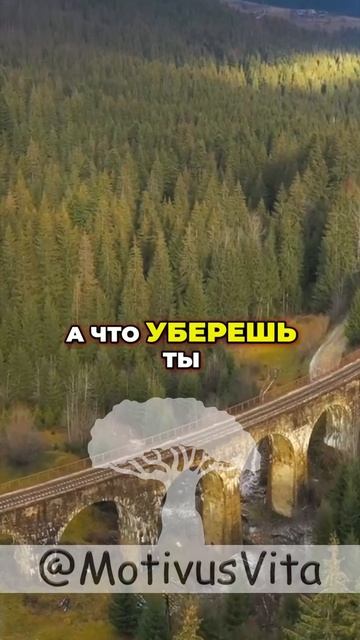 Каждое утро у Вас есть ДВА варианта ! 📝Подпишись 😍 #ц смотреть онлайн