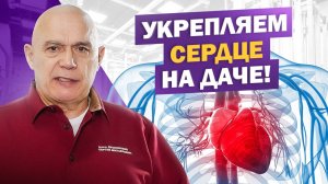 Укрепи свое сердце на даче: 2 лучших упражнения для здоровья!