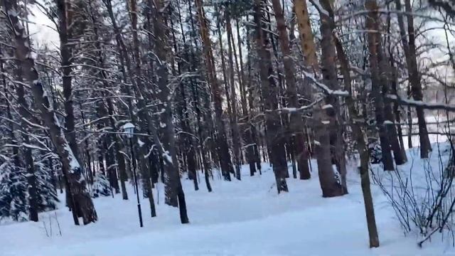 Январский морозный день в Поленово смотреть онлайн