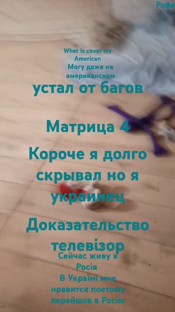 Учусь в школе МБОУ СОШ №1 класс А2 направо и потом нале? смотреть онлайн